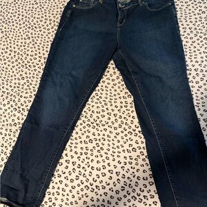 Torrid Dark Blue Straight Leg Jeans